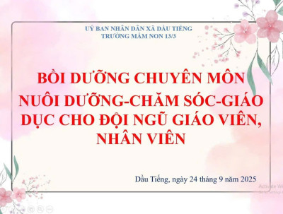 Bồi dưỡng chuyên môn